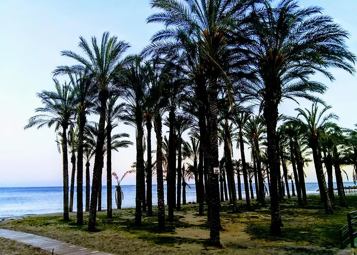 Διαμέρισμα Castillo De Santa Clara 05